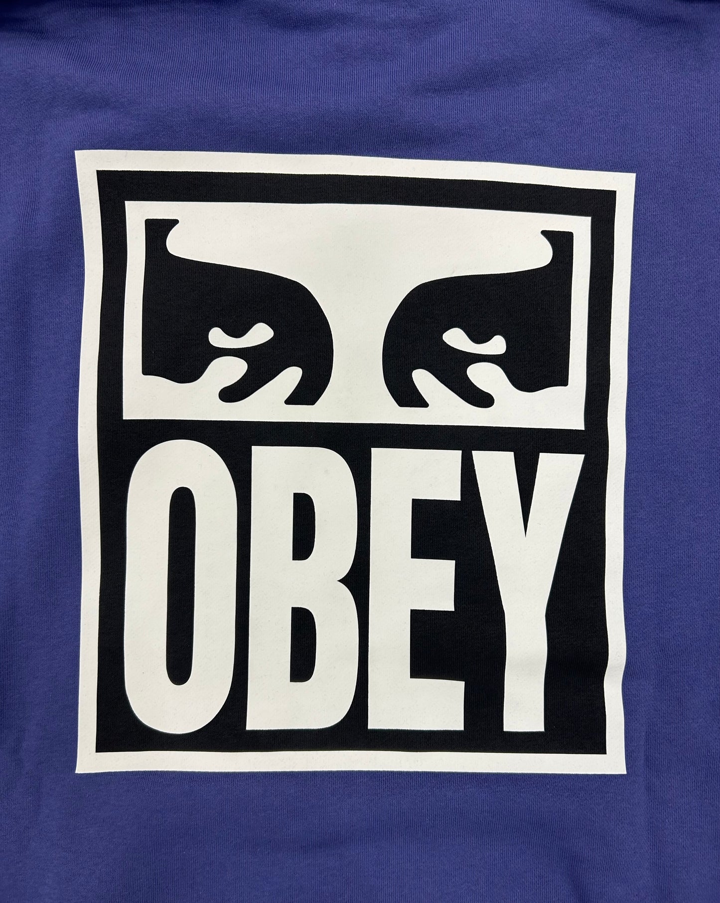 Felpa Obey con cappuccio garzata